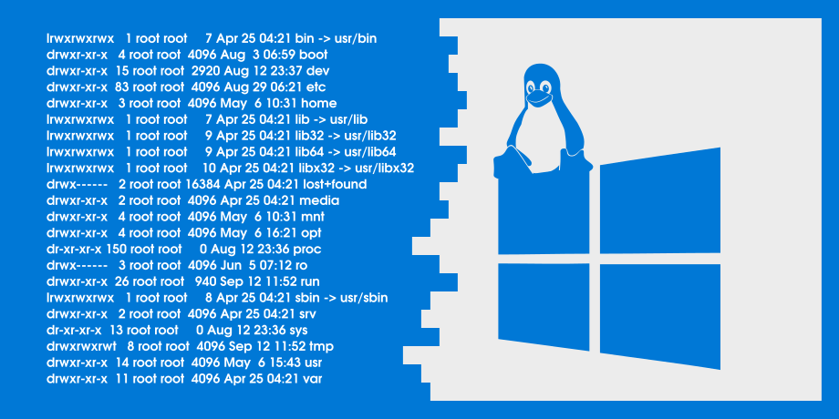 access windows printer from bash shell for windows