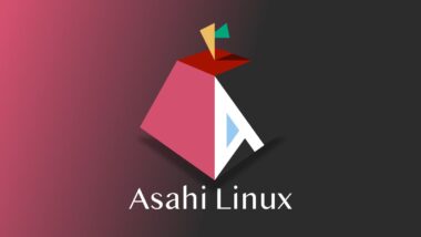 Asahi Linux Lead Developer Steps Down