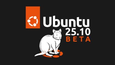 Ubuntu 25.10 Beta Released with Linux Kernel 6.17 and GNOME 49
