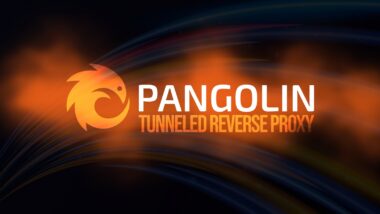 Pangolin Reverse Proxy Moves to Dual Licensing With New Enterprise Edition