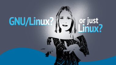 GNU/Linux or Just Linux? Between Purism and Everyday Usage