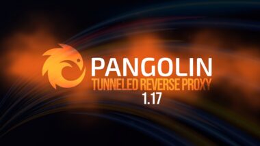 Pangolin 1.17 Tunneled Reverse Proxy Adds Multiple Roles per User
