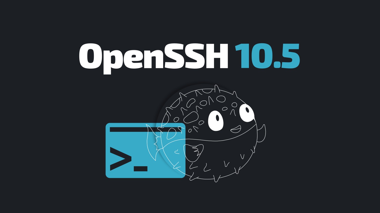 headline: OpenSSH 10.5 Fixes Security Flaws as Project Respo
