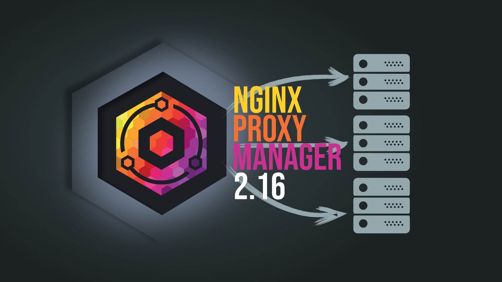 Nginx Proxy Manager 2.16 получил встроенный лог-вьюер и новые функции безопасности Веб-интерфейс панели управления Nginx Proxy Manager